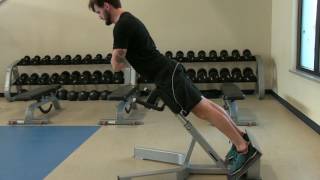 Erector Spinae Workout Prevent Erector Spinae Pain Strain and Injury [upl. by Olegnaed]