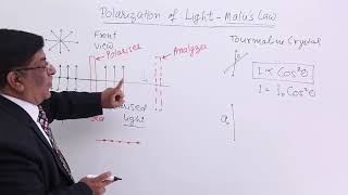 Class 12th – Polarization of LightMalus Law  Wave Optics  Tutorials Point [upl. by Asirac475]