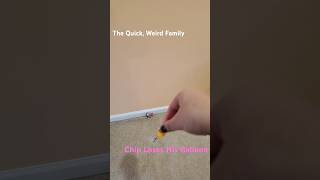 The Quick Weird Family  Chip Loses His Balloon [upl. by Leahcimal]