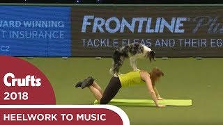 Dog gets a workout during Heelwork to Music  Crufts 2018 [upl. by Luo442]