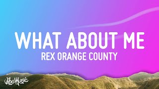 Rex Orange County  What About Me Lyrics [upl. by Anerdna349]