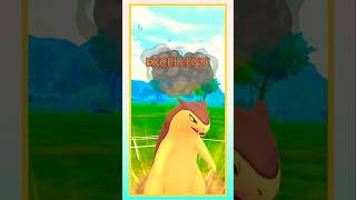 Typhlosion Save The Battle 🤩 in Great League 💥 shorts pvp pvppokemon [upl. by Ahsal352]