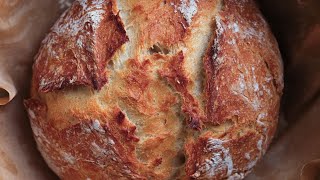 ARTISAN BREAD  NO KNEAD BREAD  Homemade Dutch Oven Bread  Crusty Bread 4K Juicing Peaches [upl. by Hairam]