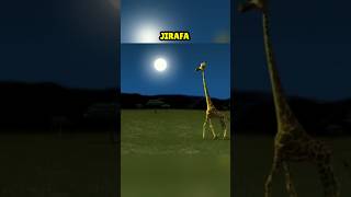 Esta jirafa destruyó accidentalmente la luna 🌑🦒 [upl. by Juieta937]