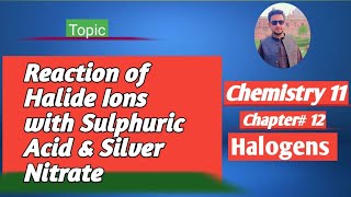 lec3 Reactivity of halide Ions with sulphuric acid  Reactions with silver nitrate  Chlorination [upl. by Heiskell]