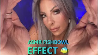 ASMR Fishbowl Effect For Sleep amp Tingles 🐠 Close Whispering [upl. by Gilges920]