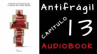 ANTIFRÁGIL  Nassim Taleb  Capitulo 13  AUDIOBOOK [upl. by Twelve]