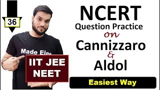 L36 Electrophilic Substitution Rxn  Question Practice On Aldol amp Cannizzaro  JEE NEET [upl. by Yleve384]