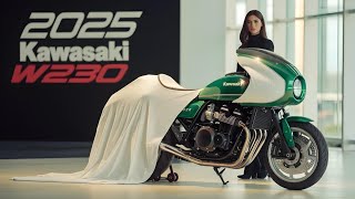 2025 Kawasaki W230 The GameChanger You Didnt See Coming [upl. by Peterec]