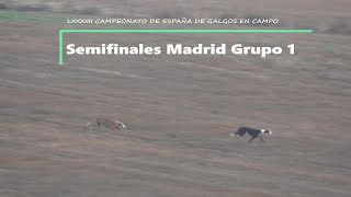 Semifinales Grupo 1 Madrid Moncalvillo vs Navalcarnero [upl. by Hsirap]