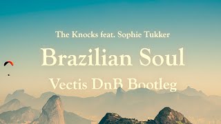 Brazilian Soul The Knocks feat Sofi Tukker  Vectis DnB Bootleg [upl. by Ellenahs449]