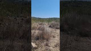 Elah Valley in Bet Shemesh in Israel [upl. by Anilecram32]