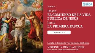 VISIONES Y REVELACIONES DE ANA CATALINA EMMERICK TOMO 3 VIDA PÚBLICA DE JESÚS capítulos 1 a 10 [upl. by Siugram]