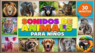 Nombres y Sonidos de Animales Para Niños en Español [upl. by Oriel869]