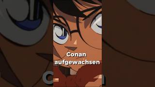 Wie erklärt man Detektiv Conan ohne Detektiv Conan zu erwähnen [upl. by Marelda]