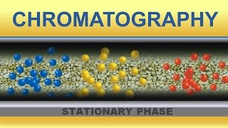 Chromatography Animation IQOGCSIC [upl. by Nodnarg976]