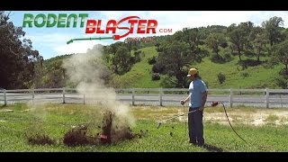 Rodent Blaster HS1 Hot Shot Remote Video [upl. by Liatris]