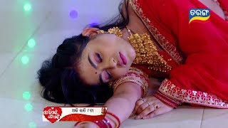 Tori Pain To Pain  16th Aug 2024  Episodic Promo393  Tarang TV  Tarang Plus [upl. by Iveksarap]