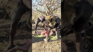 MEN PREPARING BABOON MEAT FOR BREAKFAST 🤤😜shorts [upl. by Hannie591]