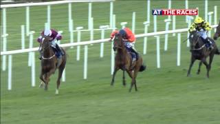 Punchestown Festival Day2 Highlights [upl. by Cerelly]