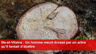 IlleetVilaine  Un homme meurt écrasé par un arbre qu’il tentait d’abattre [upl. by Fogarty885]