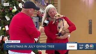 Discounts on dog and cat adoptions during Christmas in July [upl. by Eytak]