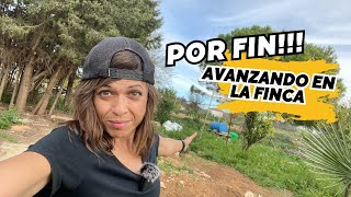 ⚒️Seguimos reformando la FINCA abandonada Logramos quitar la VALLA del gallinero Vlog79 [upl. by Ahseki]