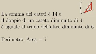 SISTEMI LINEARI e GEOMETRIA  Ripetizioni di Matematica [upl. by Diarmit]