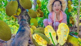 Rural life Fresh jackfruit in my countryside and cook foo recipe  Rural life jackfruit [upl. by Bertasi503]