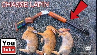 INCROYABLE CHASSE AU LAPIN rabbit lapine chase hunting [upl. by Alodie]