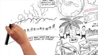 Protect Paradise An Animation about Palm Oil [upl. by Alahsal951]