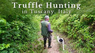 Truffle Hunting in Tuscany [upl. by Yhtur]