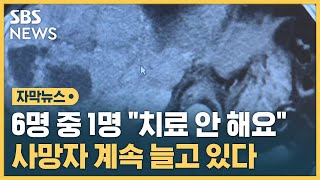 생존율 높은데 치료 포기 속출…사망자 계속 늘어나는 이유 자막뉴스  SBS [upl. by Broucek214]