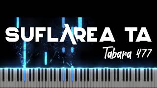 Suflarea Ta  Tabara 477  Instrumental Pian  Negativ Pian  Tutorial [upl. by Etienne]