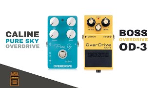 Caline Pure Sky Overdrive vs Boss OD3 Overdrive  No Talk Pedal Demo [upl. by Assirem]