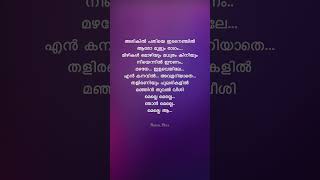 Arikil Pathiye💓songlyrics malayalam moviesong evergreen viralsong trending shortsfeed love [upl. by Noli]