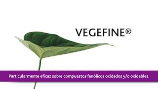 LAFFORT  PREPARACIÓN DE VEGEFINE  ESPAÑOL [upl. by Courtund]