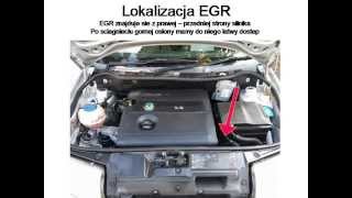 Skoda fabia 2004 14 16V vag error code 16786  EGR System Excessive Flow [upl. by Eniamrej]