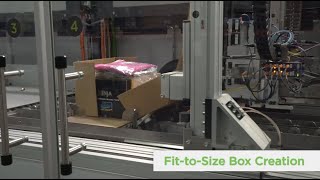 CVP Automated Packaging Solution [upl. by Merow]