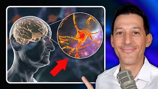 The 7 Factors That Age Your Brain BDNF Explained [upl. by Lobell106]