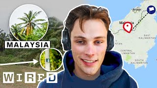 Every Trick a Pro GeoGuessr Player Uses to Win ft RAINBOLT  WIRED [upl. by Prima]