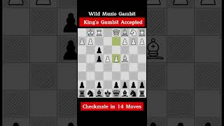 Kings Gambit Accepted Checkmate in 14 moves chessgame chessopening [upl. by Yelknirb]