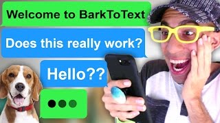 TEXTING MY DOG using BarkToText techology Tap  Texts from my Dog [upl. by Emelin]