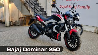 2022 Dominar 250 Walkaround Review Review Paint Scheme Update [upl. by Rorrys]