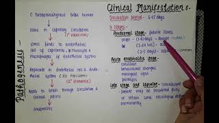 Japanese Encephalitis Virus JEV  Transmission Pathogenesis Symptoms Diagnosis Treatment [upl. by Mufinella]