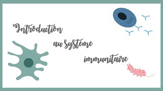 Introduction au système immunitaire inné et adaptatifImmunologie [upl. by Herbie]