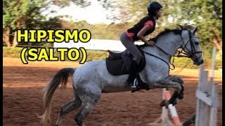 Hipismo Clássico Salto [upl. by Edina]