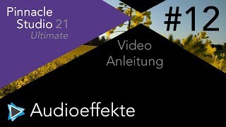 Audioeffekte und Rauschunterdrückung in Pinnacle Studio 21 Video Tutorial Deutsch 12 [upl. by Notse]