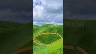 Grass waves in the wind  DRD Diaries shorts nature mountains [upl. by Navar730]