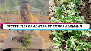 ADWERA SECRET USES BY BISHOP BENJAMIN BOAKYE [upl. by Lagas627]